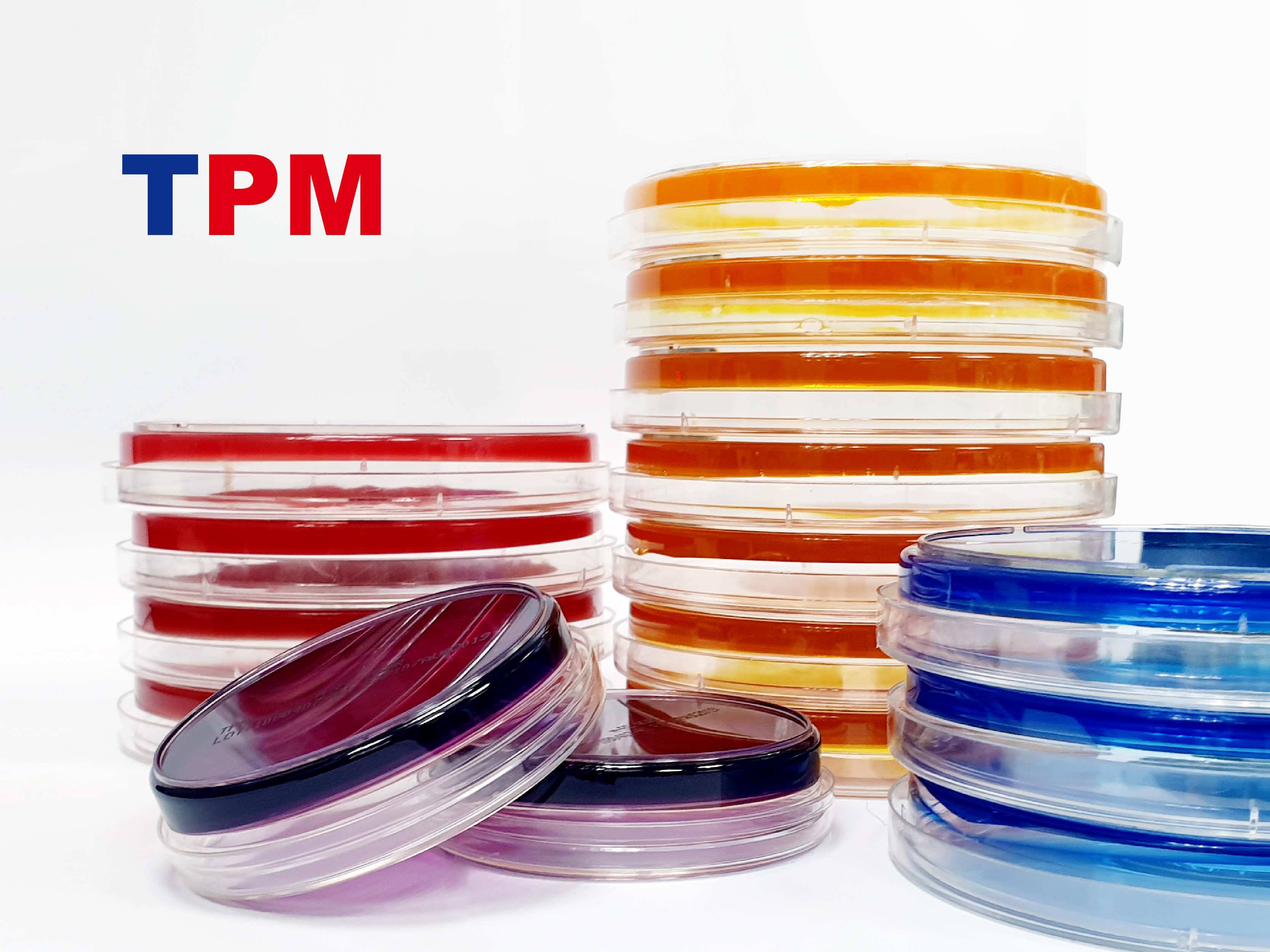 現用平板培養基